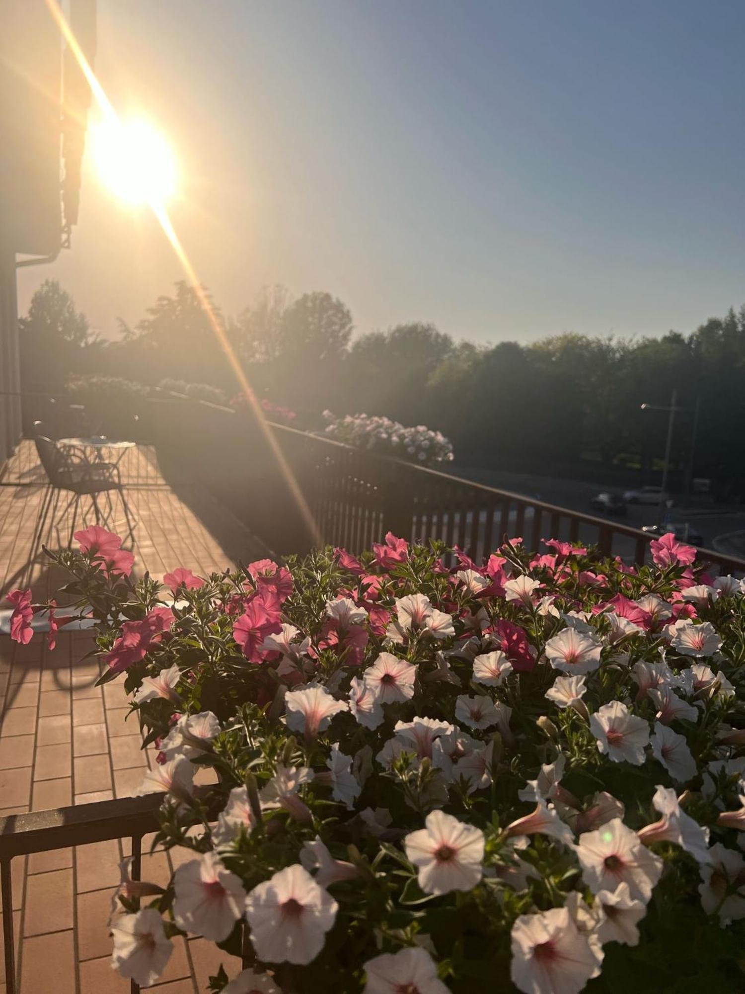 Dore 3* Castelnuovo del Garda